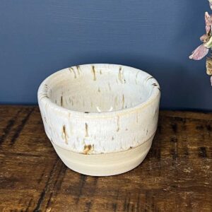 small pot birch tree glaze