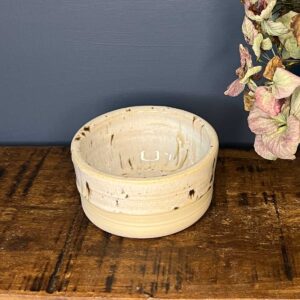 small pot birch tree glaze