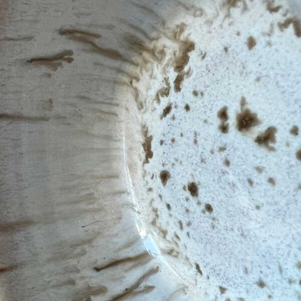 small pot birch tree glaze
