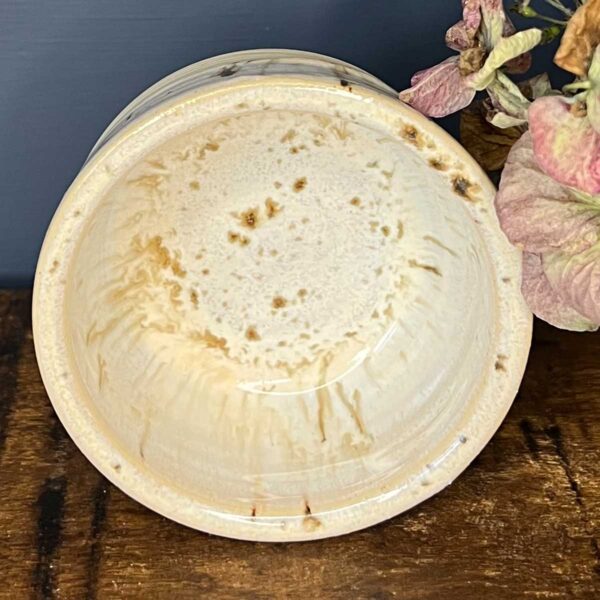 small pot birch tree glaze